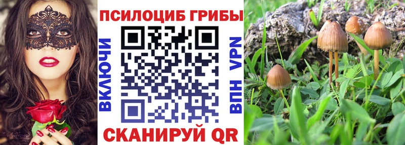 купить наркоту Великие Луки Галлюциногенные грибы GOLDEN TEACHER